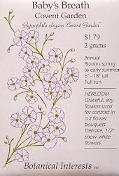 Heirloom Baby's Breath Covent Garden Seeds 450 Seeds