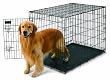 Petmate Home-Training 42-by-28-by-31-Inch Wire Dog Kennel, Extra-Large