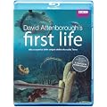 First Life - L'Origine Della Vita