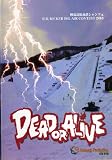 DEAD OR ALIVE 【スノーボードDVD】 dead or alive