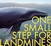 Search : One Small Step for Landmines