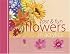 Fast & Fun Flowers in Acrylics