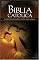 Biblia catolica (Spanish Edition)