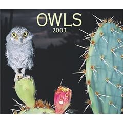 Owls Calendar 2003