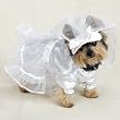 Casual Canine Wedding Dress with Veil - X-Large