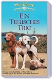 Ein tierisches Trio - Wieder unterwegs - Robert Hays