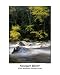 Autumn colors around Sawyer River in the White Mountains, New Hampshire USA Places Photographic Poster Print by Erin Paul Donovan, 16x20