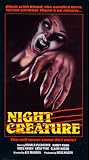 Night Creature by Vci Video