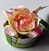 BloemBox Tiny Tin Originals Miniature Roses