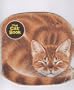The Cat Book (a Golden Shape Book) [Paperback] By Jan Pfloog