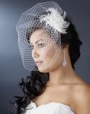 Blossom Bird Cage Wedding Veil