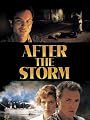 After The Storm