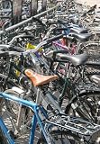 Wallmonkeys Peel and Stick Wall Decals - Fahrrad - Removable Graphic