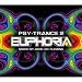 Psy Trance Euphoria 2