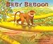 Baby Baboon