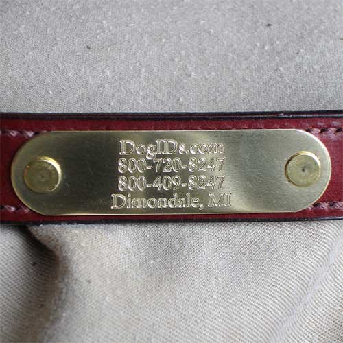 Brass Collar Nameplate - Wide