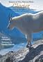 Glacier - Seasons of The National Parks