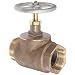 Dixon SGV250F Brass Globe Valve, 2-1/2" NPT Female x NST Male