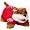 Arizona Wildcats