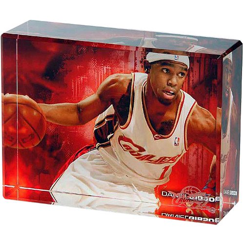 NBA Cleveland Cavaliers Daniel Gibson Action Image Block