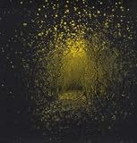 Burst Apart [VINYL]