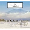 Kilimanjaro