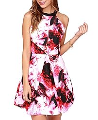 Floral Print Halter Off the Shoulder Sleeveless Backless Dropped   Waistline Prom Dress/Party Dress 