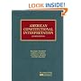American Constitutional Interpretation (University Casebook)