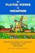The Playful Power of Metaphor: Harness the Winds of Creativity, Innovation and Possibility