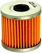 FRAM CH6070 Oil Filter for Motorcycles