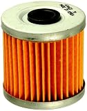 Fram CH6070 Oil Filter Motorcycle