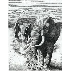 Notecards – Package of 10 – Telephoto