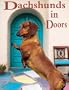 Dachshunds in Doors