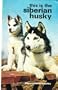This Is the Siberian Husky (Ps707)