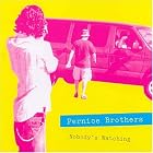 Nobody's Watching Nobody's Listening by The Pernice Brothers (Audio CD - 2005) - Enhanced