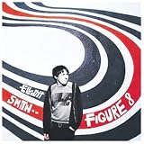 Figure 8