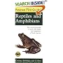 Peterson First Guide to Reptiles and Amphibians (Peterson First Guides(R))