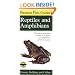 Peterson First Guide to Reptiles and Amphibians