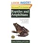 Peterson First Guide to Reptiles and Amphibians