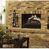 Dimplex DFI2309 Electric Fireplace Insert Heater, Black