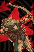 Green Arrow/Black Canary VOL 01: The Wedding Album: The Wedding Album (Green Arrow (Graphic Novels))