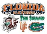 Florida Gators Wallcrasher Wall Decal - Multi Logo 3' - College Car Magnets And Decals