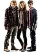 Advanced Graphics 1048 Harry Potter, Hermione, Ron Weasley Cardboard Standup