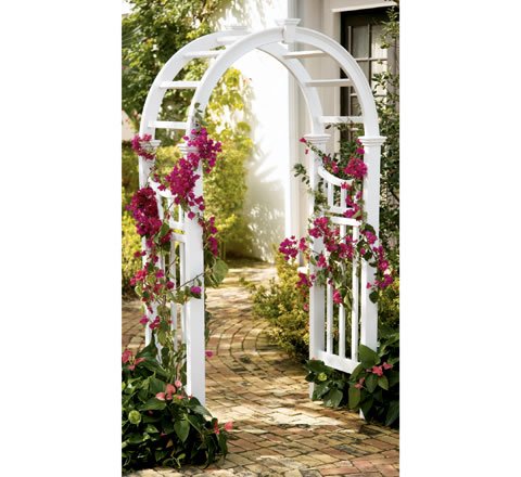 Vienna Arbor