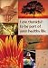 Postcards - Thankful Collage - 50pk