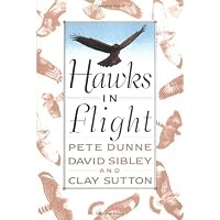 Hawks in Flight: The Flight Identification of North American Migrant Raptors