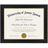Document Frame - Made to Display Certificates 8.5 x 11-Inch - Document Frames, Certificate Frames, Diploma Frames, High School Diploma Frame