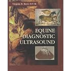 Equine Diagnostic Ultrasound by Virginia B. Reef DVM