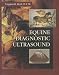 Equine Diagnostic Ultrasound