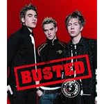 Busted the Official Book book cover